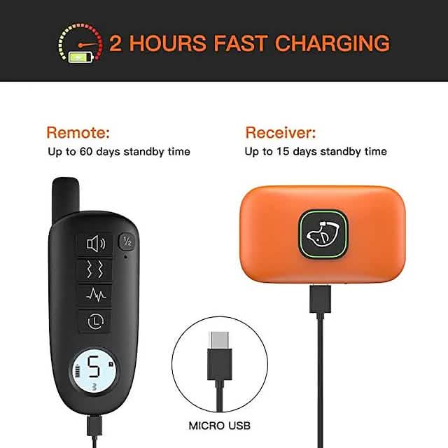 Pet Dog Shock Collar with Remote 2pc black remote and orange receiver unit USB charging on Tampa Home & Garden Store