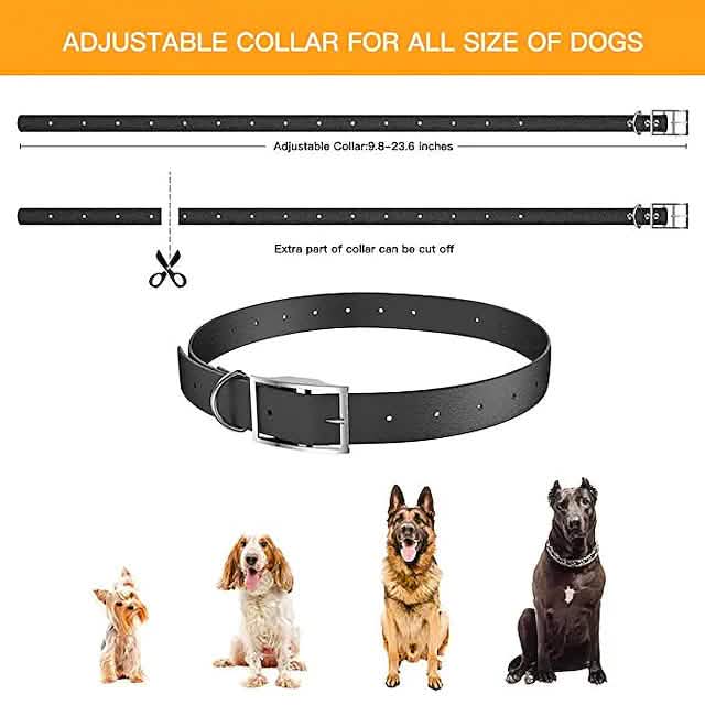 DailySale adjustable black nylon dog collar with metal buckle for all dog sizes 9.8–23.6 in on Tampa Home & Garden Store