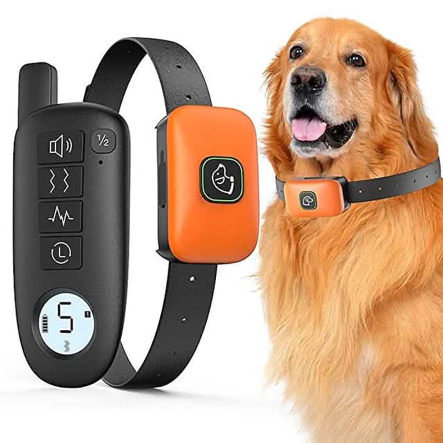 Pet dog shock collar with remote, orange receiver on black strap worn by dog DailySale on Tampa Home & Garden Store