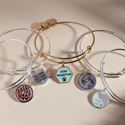 Tell Your Cat I Said Pst Pst Pst bangle by ALEX AND ANI, rose gold & silver-tone bracelet on Tampa Home & Garden Store
