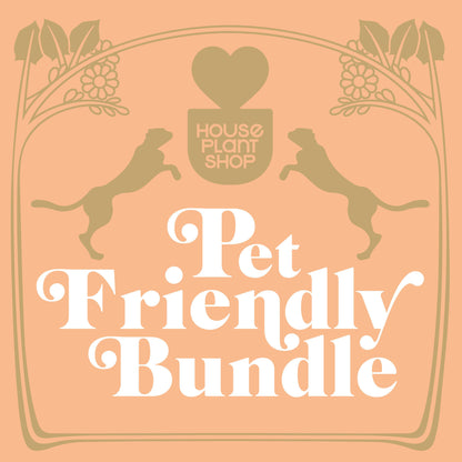 Pet Friendly Variety Bundle 6 inch plant by House Plant Shop with two dog silhouettes on Tampa Home & Garden Store