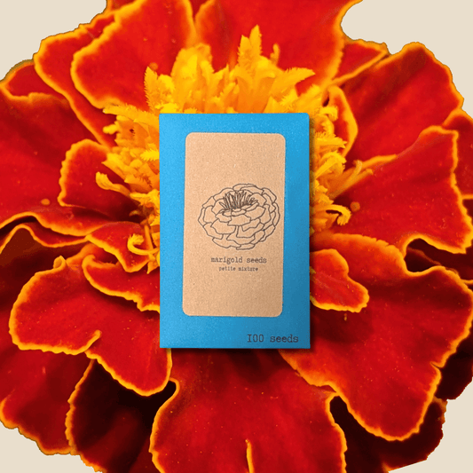 Petite Marigold Seeds