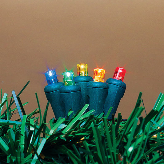 Guirlande lumineuse LED 60 LED pour intérieur/extérieur - Multicolore - Fil vert