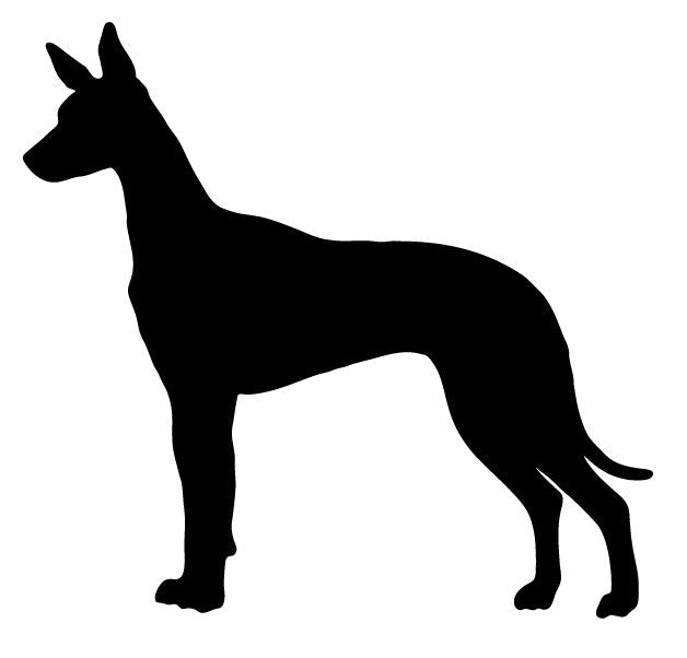 Pharaoh Hound garden stake or wall hanging silhouette, black lawn ornament on Tampa Home & Garden Store