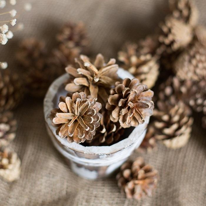 Pine cone decoration by RusticReach in a whitewashed cup with brown pinecones on Tampa Home & Garden Store