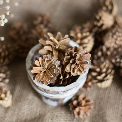 Pine cone decoration by RusticReach in a whitewashed cup with brown pinecones on Tampa Home & Garden Store