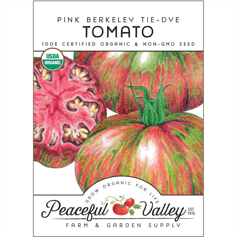 Semillas de tomate teñido anudado de color rosa Berkeley (orgánicas)