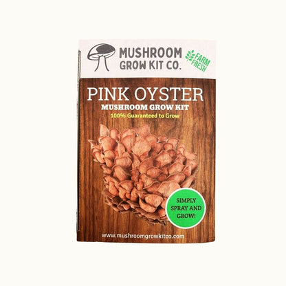 Premium Pink Oyster Mushroom Growing Kit - 5 LBS