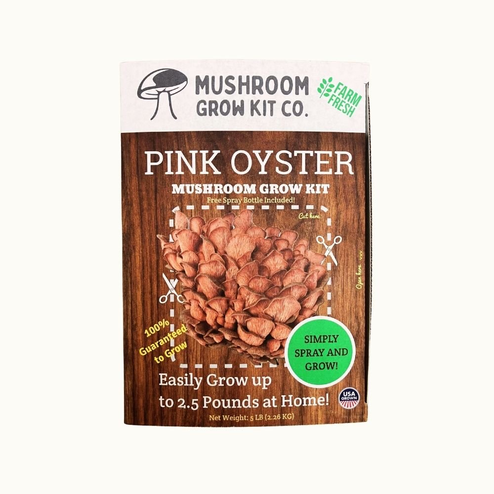 Premium Pink Oyster Mushroom Growing Kit - 5 LBS