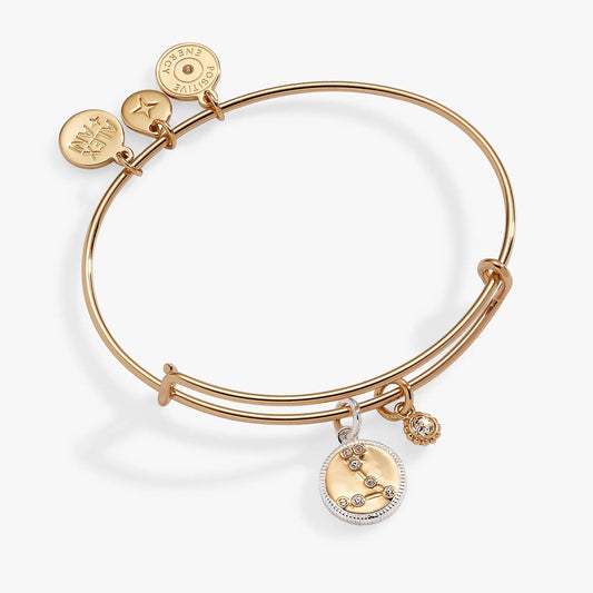 Pisces Zodiac Charm Bangle stack by ALEX AND ANI, rose bracelet with Pisces discs on Tampa Home & Garden Store
