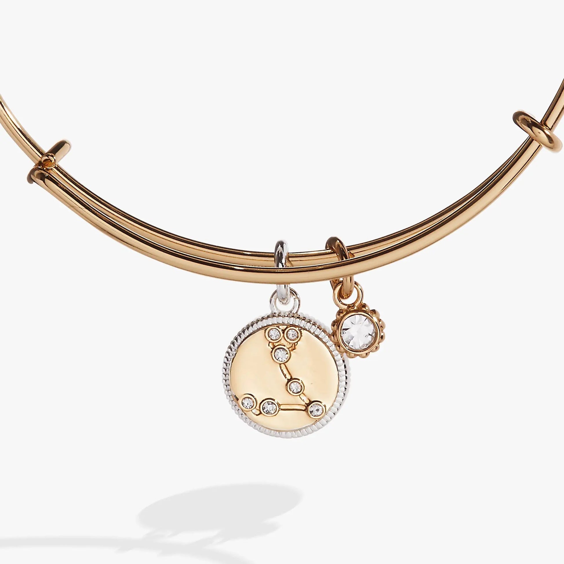 Pisces Zodiac Charm Bangle by ALEX AND ANI, gold-tone bracelet with crystal-accented charm on Tampa Home & Garden Store