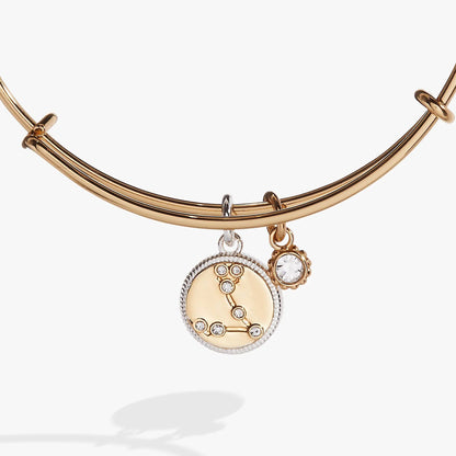 Pisces Zodiac Charm Bangle by ALEX AND ANI, gold-tone bracelet with crystal-accented charm on Tampa Home & Garden Store