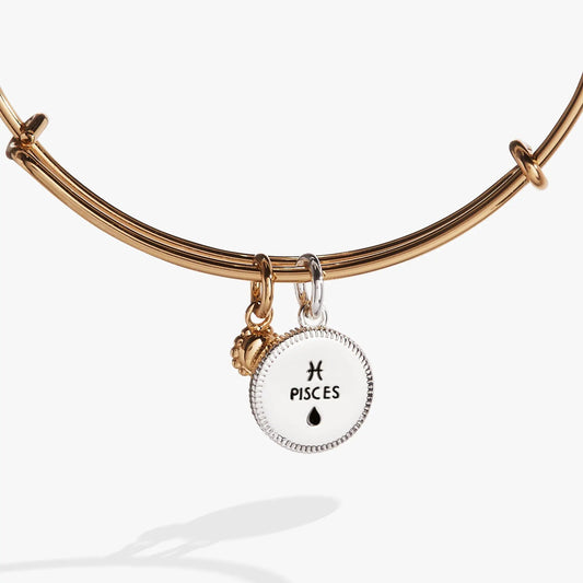 Pisces zodiac charm bangle by Alex and Ani in rose-gold on Tampa Home & Garden Store