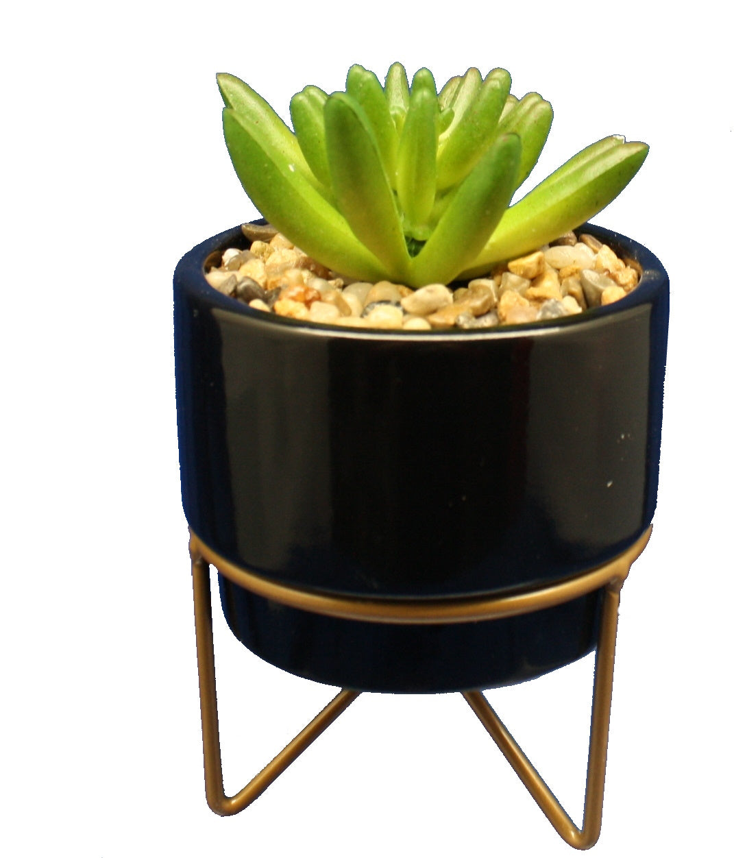 Potted Succulent on Metal Stand -