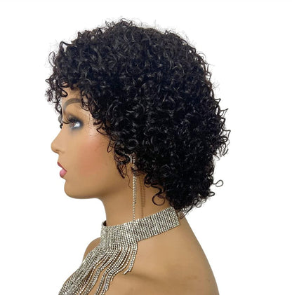 Stevvex Pixie Cut Wig, short curly black human hair, full machine-made wig for women on Tampa Home & Garden Store