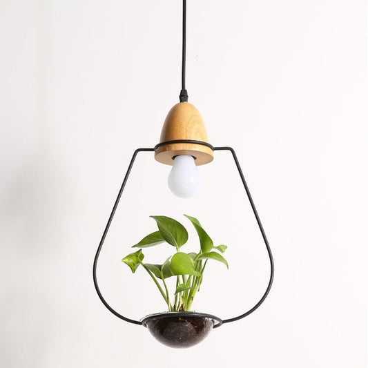 Plant Chandelier - Tampa Home & Garden Store