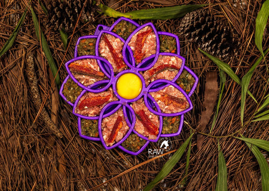 Raw PMR Pork Meal Blend for Cats & Dogs in purple flower trays, Raw Instincts logo visible on Tampa Home & Garden Store