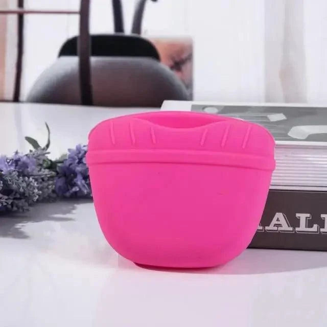 Portable dog training treat pouch Stevvex pink silicone waist bag with clip on Tampa Home & Garden Store