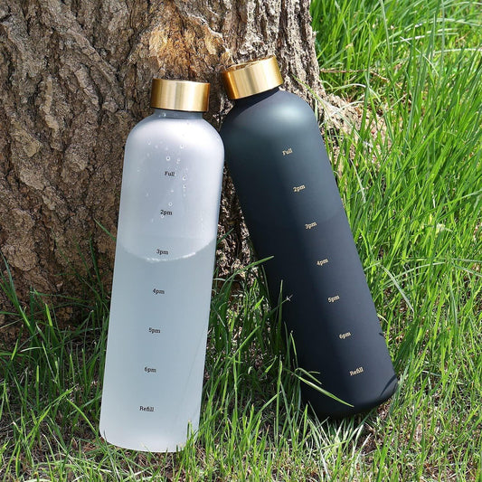 Stevvex time-marker water bottle pair, BPA-free gray and black with gold lids on Tampa Home & Garden Store