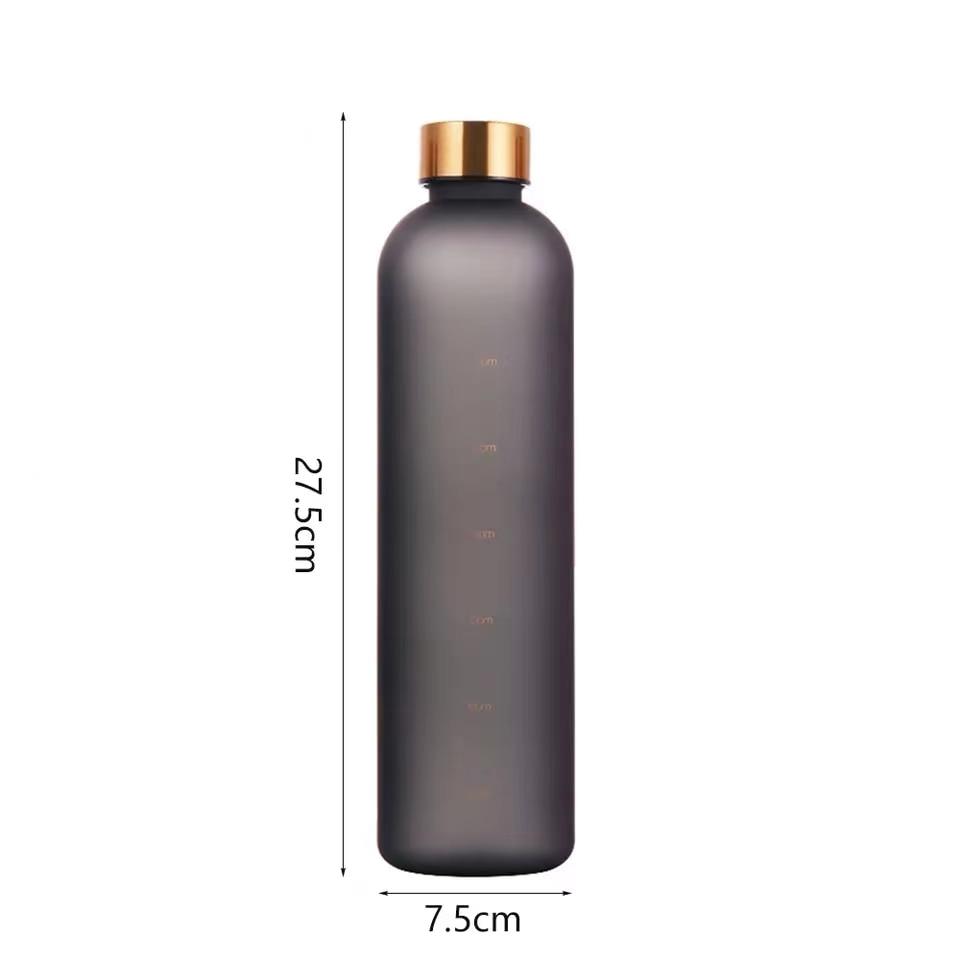 Stevvex water bottle with copper cap, frosted gray BPA-free plastic, time-marker sport bottle on Tampa Home & Garden Store