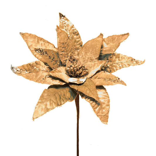 Heirloom Poinsettia Stem - Champagne - Tampa Home & Garden Store