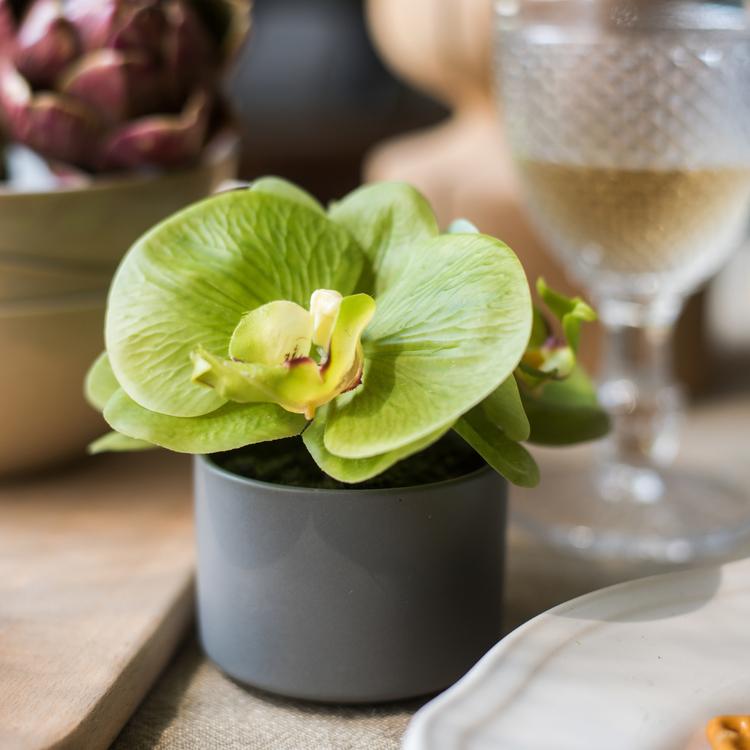 Artificial mini real-touch potted orchid with green petals in a gray pot on Tampa Home & Garden Store