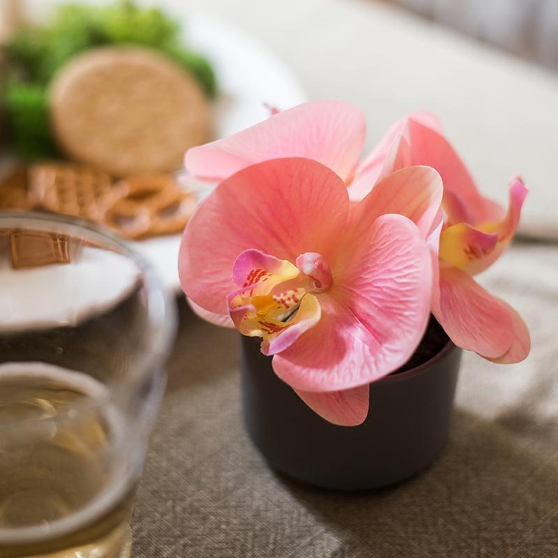 Artificial Orchid Mini Real Touch Peach Pink in black pot RusticReach on Tampa Home & Garden Store