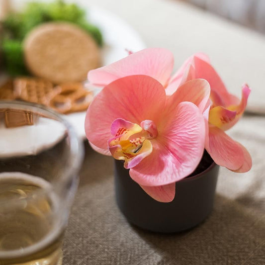 Artificial Orchid Mini Real Touch Peach Pink in black pot RusticReach on Tampa Home & Garden Store