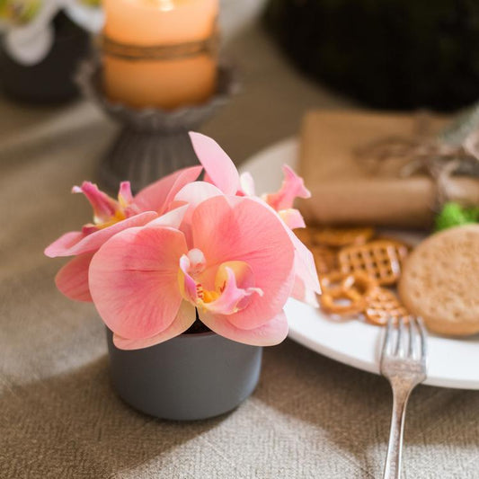 Mini real-touch peach pink orchid in gray pot by RusticReach on Tampa Home & Garden Store