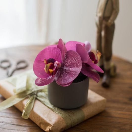 Mini purple orchid in a gray pot with Real Touch blooms on a wooden table on Tampa Home & Garden Store