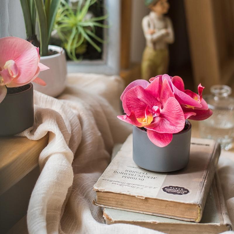 Artificial potted mini real-touch velvet red orchid in gray pot RusticReach on Tampa Home & Garden Store