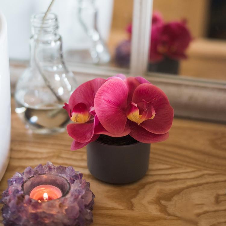 Artificial Potted Mini Real Touch Orchid Velvet Red by RusticReach in a black pot on Tampa Home & Garden Store