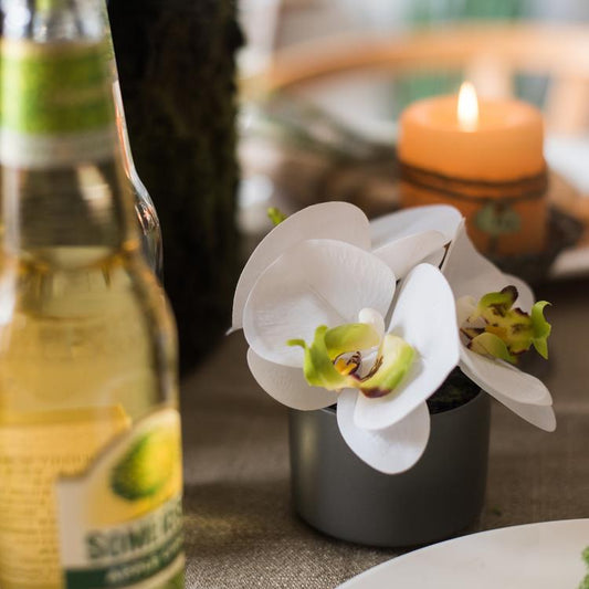 RusticReach artificial orchid mini real touch white in gray pot on Tampa Home & Garden Store