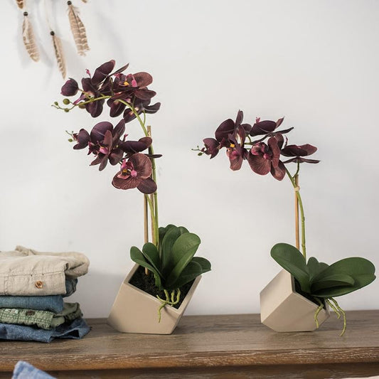 Artificial silk orchid potted arrangement purple blooms two stems in beige pots RusticReach on Tampa Home & Garden Store