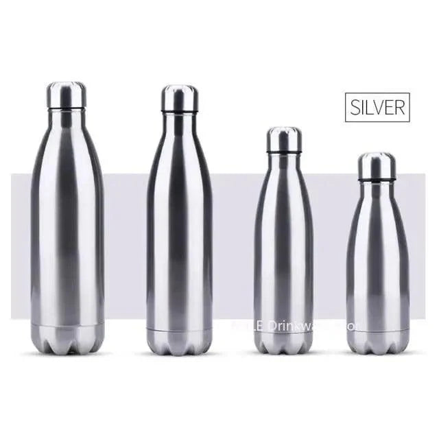 Water bottle set Stevvex four silver stainless steel double-wall 350/500/750/1000 ml on Tampa Home & Garden Store