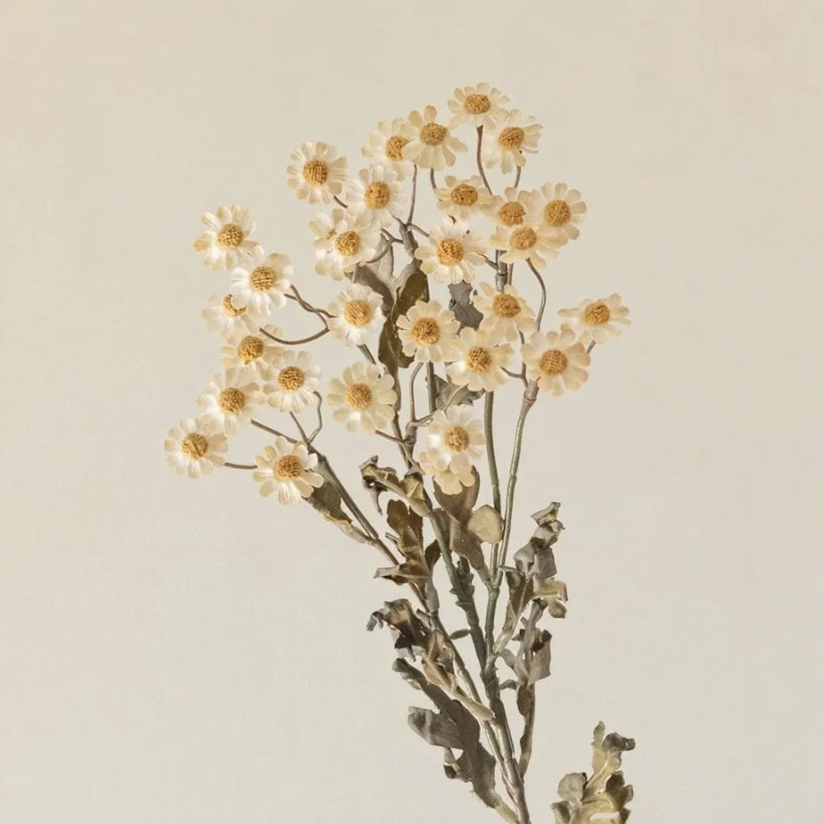 Autumn Daisy Spray 21-inch RusticReach cream daisies with yellow centers on green stems on Tampa Home & Garden Store