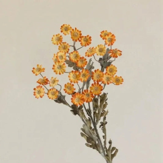 Autumn Daisy Spray 21in orange artificial daisies on green stem by RusticReach on Tampa Home & Garden Store