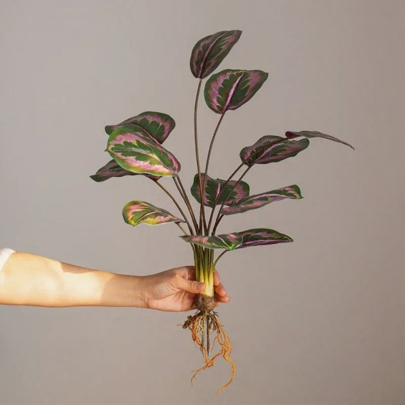 Wild Tropical Leaf Bunch by RusticReach, non-flowering plant with purple-green leaves on stems on Tampa Home & Garden Store