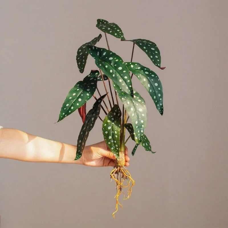Wild Tropical Leaf Bunch artificial plant RusticReach with green dotted leaves and roots on Tampa Home & Garden Store