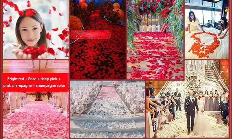 1000Pcs Fake Rose Petals by Stevvex, red pink artificial petals for weddings and Valentine decor on Tampa Home & Garden Store