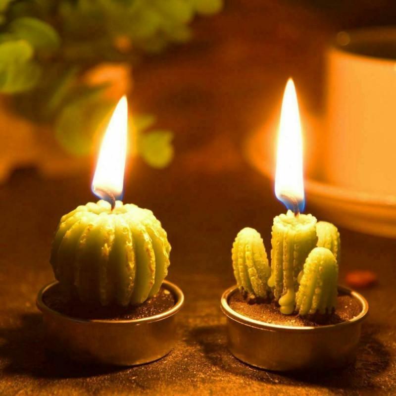 Mini succulent cactus tea light candles in metal holders, handmade wax, two lit flames on Tampa Home & Garden Store