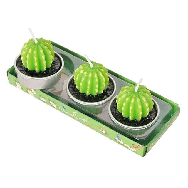 Stevvex mini succulent cactus tea light candles in three small silver pots on a green tray on Tampa Home & Garden Store