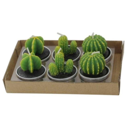 Stevvex mini succulent cactus tea light candles set, 6 green candles in metal cups on a tray on Tampa Home & Garden Store