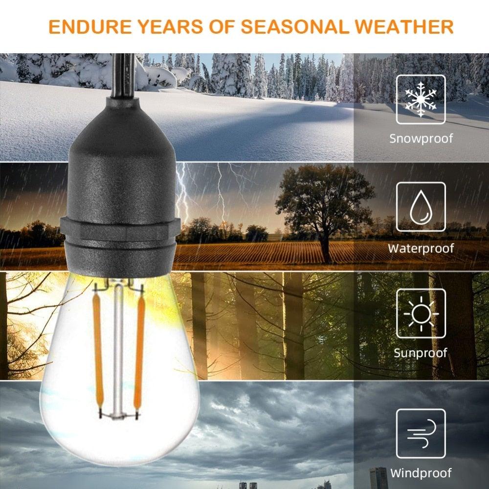 Stevvex IP65 LED string lights with Edison filament bulbs in daylight white for outdoors on Tampa Home & Garden Store