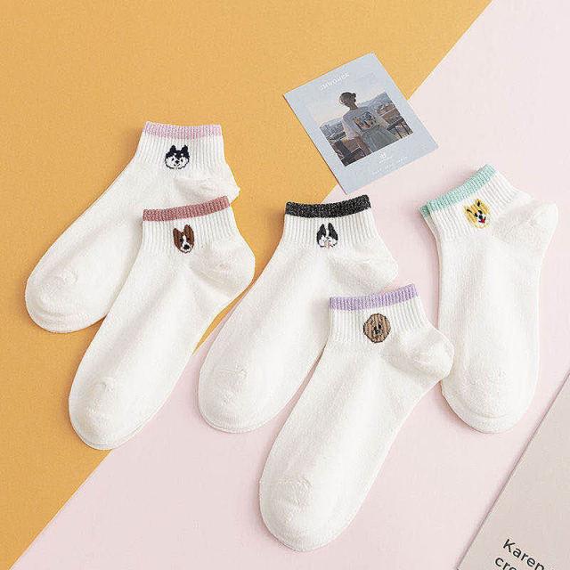 Stevvex 5-pair unisex ankle socks in mixed colors with soft breathable cotton and colored cuffs on Tampa Home & Garden Store