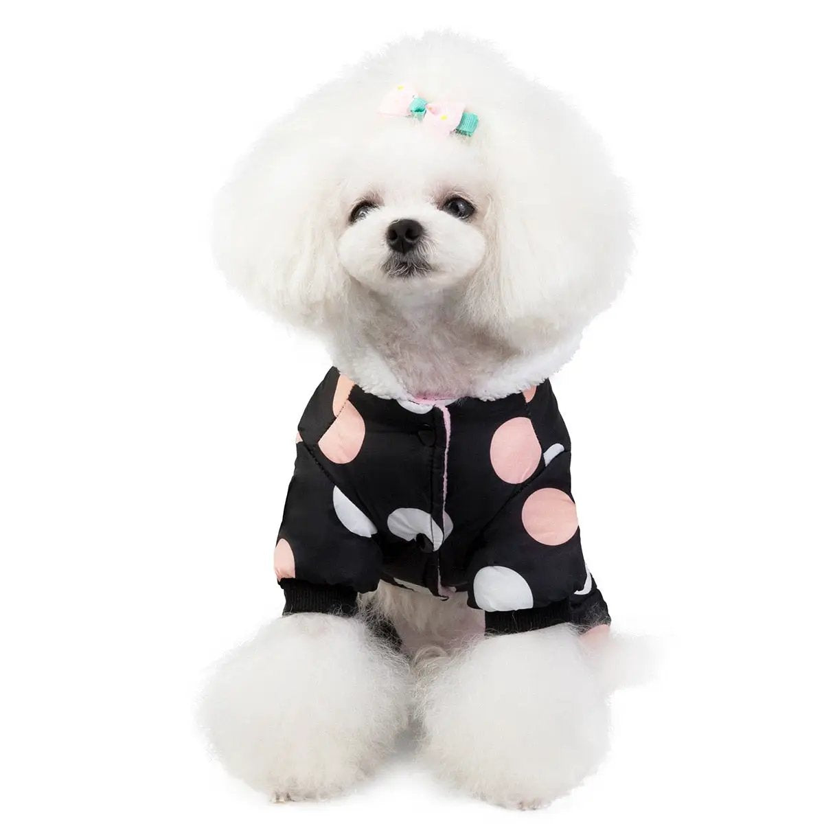 Polka dot dog jumpsuit for small dogs in black with pink and white dots by Furr Baby Gifts on Tampa Home & Garden Store