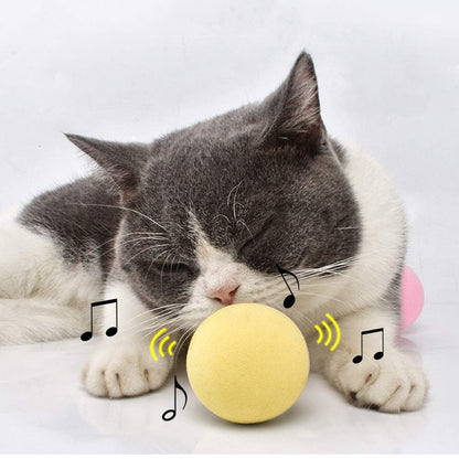 Stevvex interactive cat toy ball with yellow chirping ball for cats on Tampa Home & Garden Store