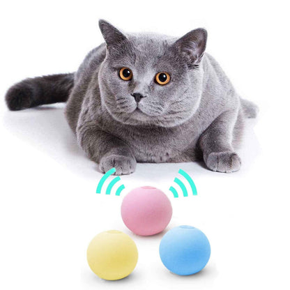 Stevvex smart cat toys ball catnip interactive training toy with pink ball and extra balls on Tampa Home & Garden Store