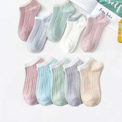 Stevvex 5-pair crew socks set in pastel ribbed cotton, unisex on Tampa Home & Garden Store