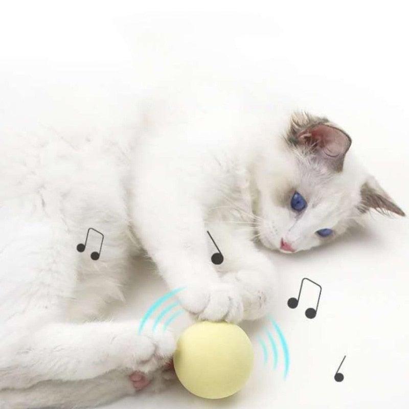 Stevvex Smart Cat Toys Ball catnip interactive chirping toy for cats cat exercise on Tampa Home & Garden Store